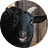 goatrespecter